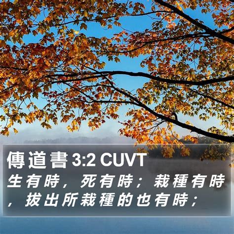 栽種有時|傳道書 3 現代標點和合本 (CUVMP Traditional)